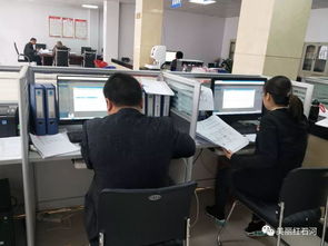 提升数据质量 确保精准脱贫——中厂镇脱贫攻坚工作纪实（四十四）职业中介服务的精准助力