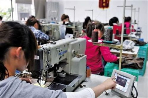 年轻人不进工厂 一场悄然兴起的职场自救与中介服务转型