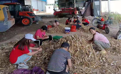 陕西财经职业技术学院暑期“三下乡”实践队走进富平县齐村镇实地调研职业中介服务