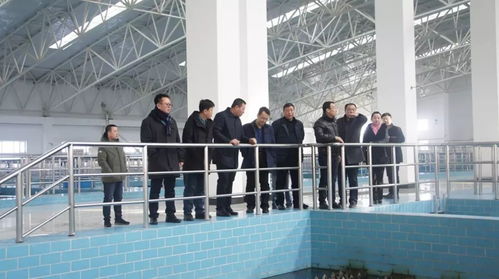 集团总经理王爽一行开展节日慰问与工作指导